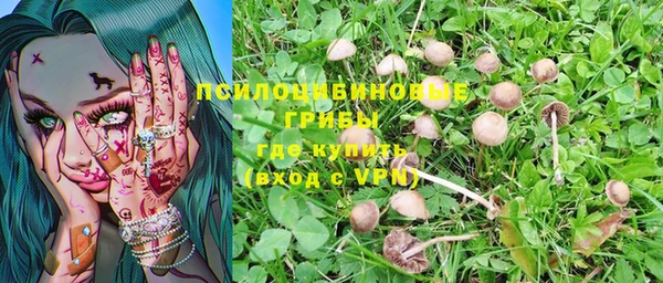 PSILOCYBIN Богородск