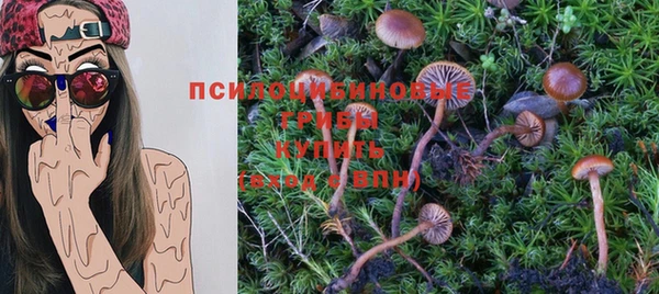 PSILOCYBIN Богородск
