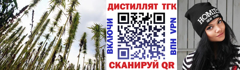 даркнет сайт Мураши Дистиллят ТГК гашишное масло