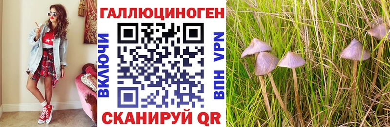 Псилоцибиновые грибы ЛСД  что такое наркотик  Мураши 